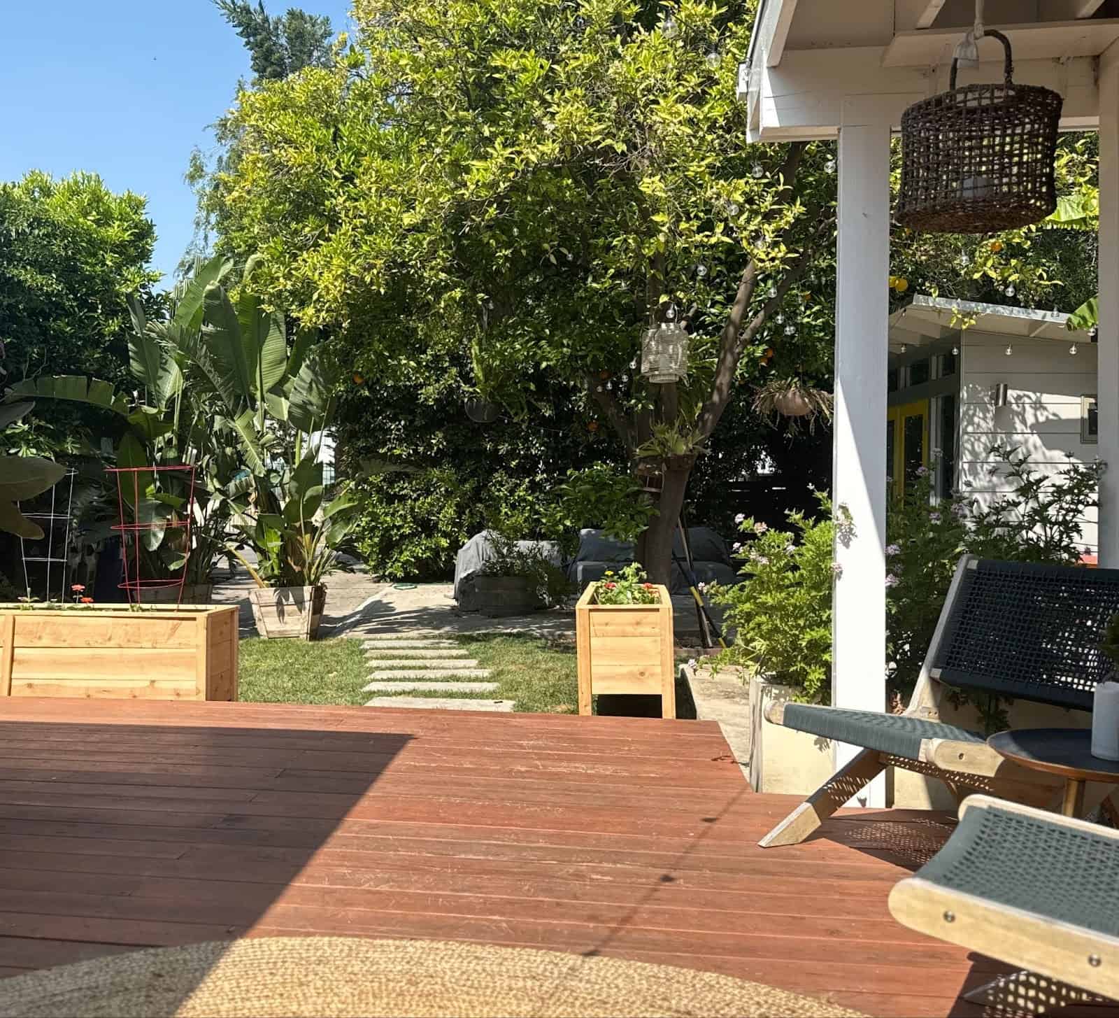 A sunny backyard patio featuring a red-stained wood deck with outdoor chairs, cedar raised garden beds with flowering plants, stepping stone pathways through a green lawn, a citrus tree with hanging decorative lanterns, large banana plants, and a white house with string lights visible on the right