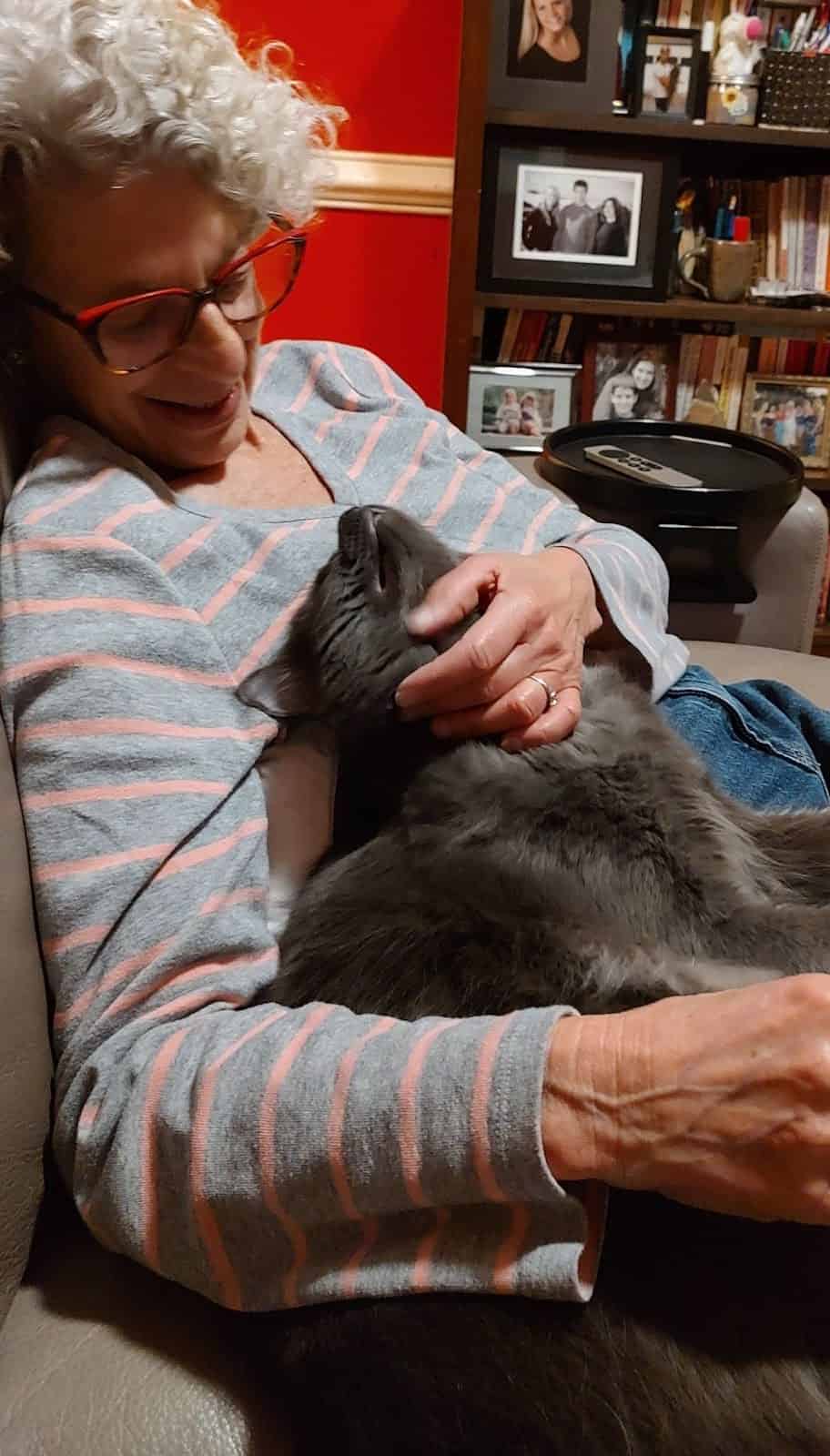 A woman sits comfortably, smiling as she cuddles and pets a relaxed gray cat on her lap. It’s a warm, cozy moment that feels calm and affectionate