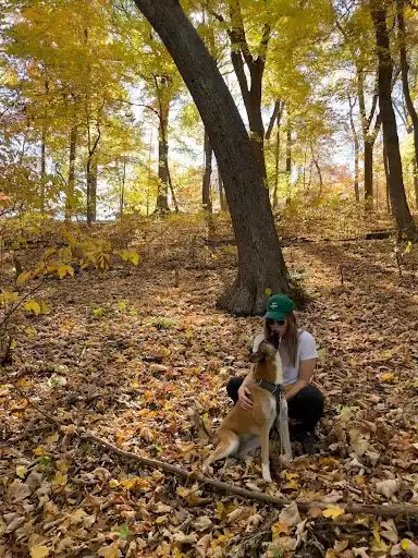 **Alt text:**
A person kneels in a forest covered in autumn leaves, hugging a dog beside a large tree with yellow foliage.
